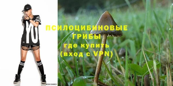 spice Абинск