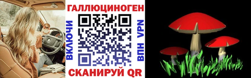 Галлюциногенные грибы GOLDEN TEACHER Новотитаровская